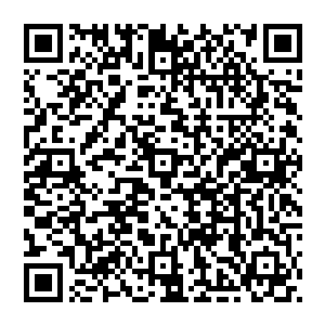 别弄错了……瓶子里的药可是我花了大价钱从托人买来的……无论如何都要确保大宁拿到冠军……二维码生成