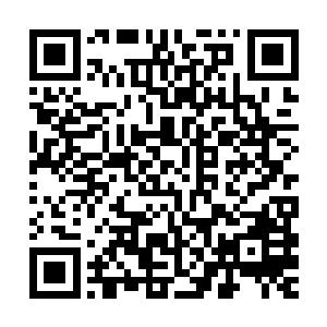 别抓我们……救我……救我们……快逃……我们一起逃出去……二维码生成