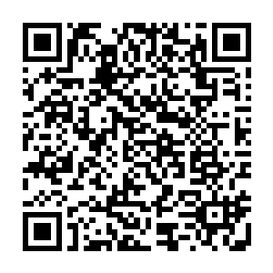 别担心 小师弟一直不做沒有把握的事 既然他來了 说明就不会有事 二维码生成