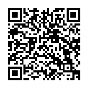 别的学生都会主动过来和自己或者狄格思教授交流一番敬一杯酒二维码生成