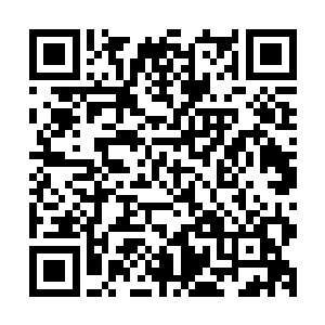 别看林烽表面上看起来和这个修真世界的人并没有什么不同的二维码生成