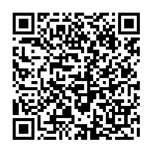 到了现在剩下的只有一个破碎的纯血和一个半路出家的类纯血~真是嘲讽呢二维码生成