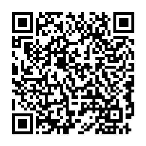 到他们得知来人居然是乾天宗大长老墨宇和凌霄宗的宗主长老们之后二维码生成