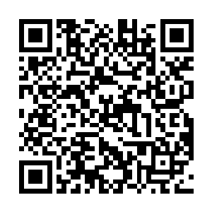 到底他们是去寻知春还是根本就是他们动手害了大皇子二维码生成