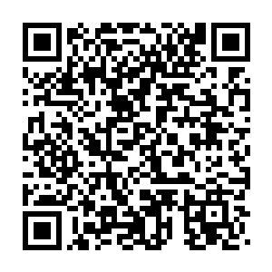 到我上一次利用琼阳和法袍引我自动踏入……这一次要补上一击沉压二维码生成