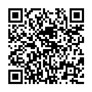 到时主神联盟就会额外给门族留下一个通往人类主神世界的通道二维码生成