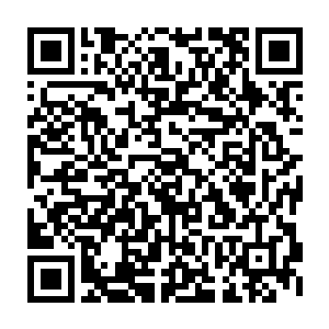 到时候一定要让那些当年的时候对我噬灵一族下手的家伙付出惨重的代价二维码生成