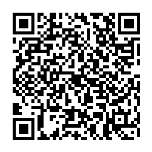 到时候人类和丧尸一族共同进攻地心世界的计划只怕也要就此受阻了……二维码生成