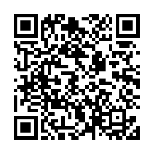 到时候他们就会带领大军横扫阻挡我们的那片绿草丛林二维码生成