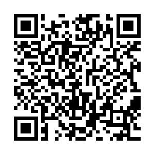 到时候咕仔不用再用鬼力替我堵住我后背伤口就成了自由之身二维码生成