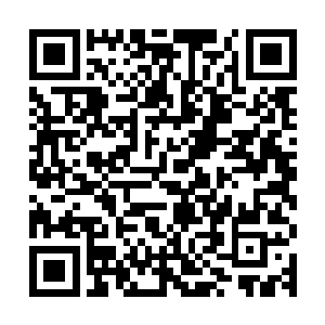 到时候如果他带领最高议会的一众强者发起一次反打和突袭的话二维码生成