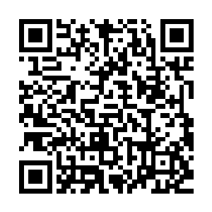 到时候如果在四大家族的屠戮和圣盟的入侵中真的死了数千亿人二维码生成