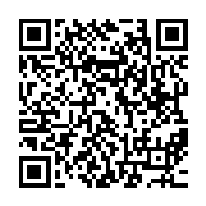 到时候我们可以看飞车表演嗯我不知道飞车是不是跟飞机一样二维码生成
