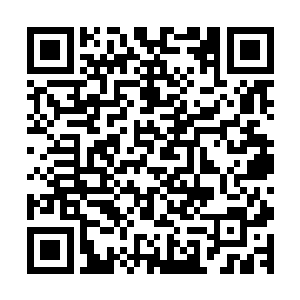 到时候我们太玄宗好不容易落成的现在的局面恐怕会功亏一篑二维码生成