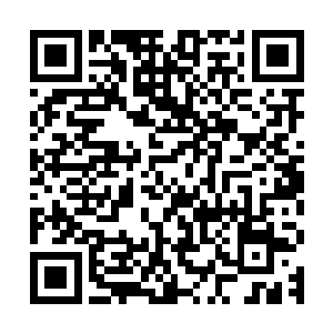 到时候罗朱与玩偶两出戏剧的市场表现应该算是稳定得差不多了二维码生成