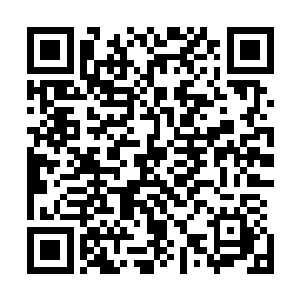 到最后结账时我本來是抱着挨一顿打换取这一顿分钱的心思二维码生成