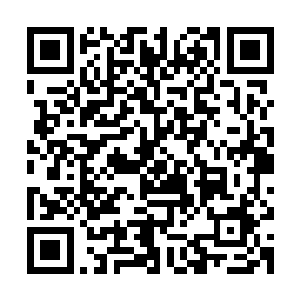 到现在为止从南直隶到京官都还摸不清这次的巡漕御史到底是谁二维码生成
