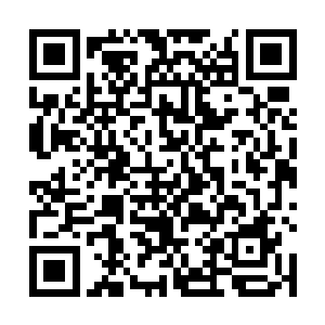 到现在也损耗的差不多了……恐怕就算炼化这两个剑侍二维码生成