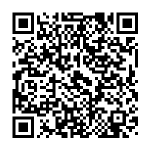 到达苏阳市区的苏凡自然不知道阿诺德和鬼王已经在商量如何算计自己二维码生成