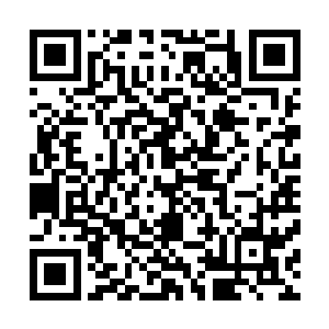 到还不如抱着试试看的态度寻找世间几乎不会存在的修真者二维码生成