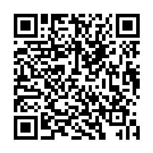 到这个时候他还在装傻……他真是完全遗传了他妈妈的基因二维码生成