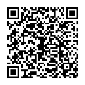 到那时候我们就算在一次遇到这样的灵兽也不会显得这么的手忙脚乱二维码生成