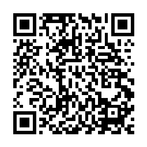 刷刷刷……一颗又一颗的血珠就从它爪子下面不断的衍生出来二维码生成