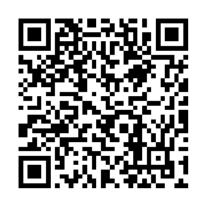 刺棘黑风因激动而发出的嗒嗒嗒的抖刺声在洞内回响二维码生成