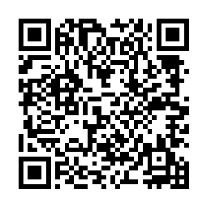 刺耳而尖锐的气爆声响不断从两人撞击的位置散发出来二维码生成