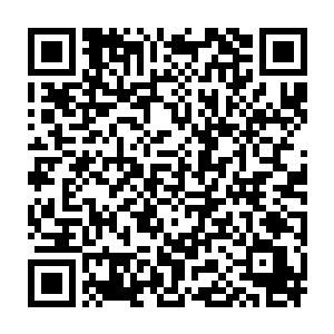 刻耳柏洛斯只感觉到一股股难以言喻的极致寒意瞬间从自己身边浮现二维码生成