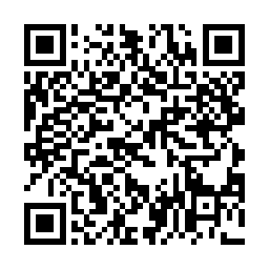 前一刻神秘人还出动双手将攻击降临到了两位界主头顶二维码生成