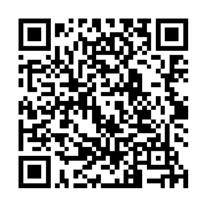 前三针秦洛通过针谱和爷爷秦铮的从旁指点而学有所成二维码生成