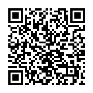 前些日子总是听墨儿念叨着说远在篷州的表妹是个懂事的孩子二维码生成