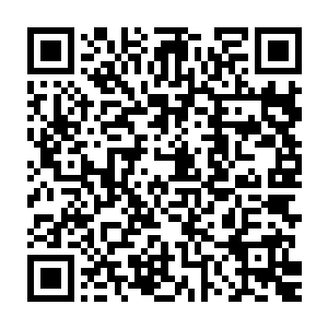 前方的树林里突然冒出一个巨大的身影--那只巨型块茎尸兄行动了二维码生成