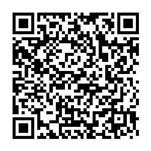 前朝皇族遗孤的身份确实让他知道宝藏下落这个消息变得可信了许多二维码生成