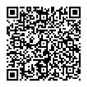 前段时间左右督卫抽调了大批人马前往丁卯域执行任务怕就是在寻找妖僧南波的封印之地二维码生成