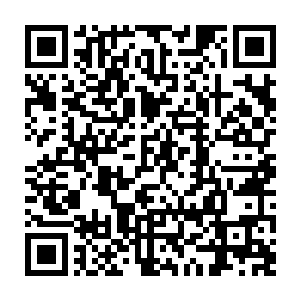 前边坐着的出租车司机已经差不多完全傻掉了……那位拦车的人还真够大方的二维码生成