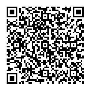 前面的其他的家族都拿出了十分丰厚的礼物现在所有人都十分期待皇室跟龙家能够拿出什么样的礼物二维码生成