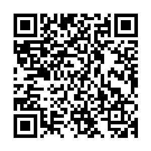 前面的桌子上放着白兰留给她的晚餐……不过现在已经是宵夜了二维码生成