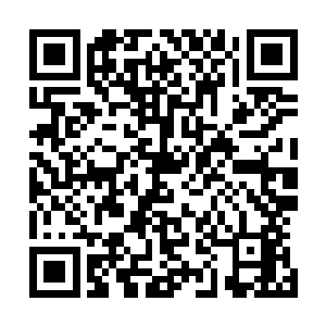 剑与棍快速的交击着……只能够听到这样连续不断的撞击声二维码生成