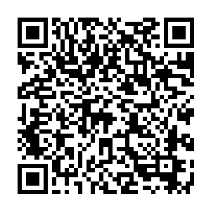 剑姬……等人的音容笑貌在他的脑海中划过……终究还是见不到你们了……二维码生成