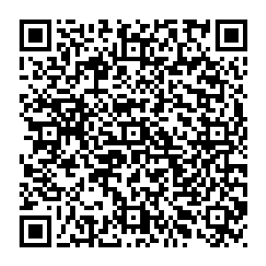 剑尘一出 顿时让四周无数人倒吸一口凉气 要知道 那洒下的灵石可不是仅仅一千颗那么简单 而是一种立场二维码生成