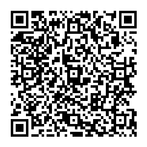 剑尘在枫叶城城中心处的一家名为枫叶阁的商铺中将自己从陆飞那里得到了几卷修炼功法和战技全部出售了二维码生成