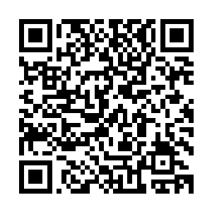 剑尘的神识已经可以不费吹灰之力的出现在木灵界的任何地方二维码生成