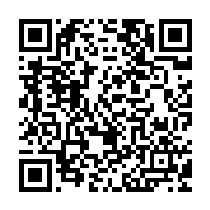 剑拔弩张指桑骂槐唾沫模飞怒视而对的骂上半天都不会动真格的二维码生成