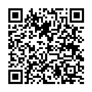 剧本还有主要的人设模板都已经发在你们的邮箱里了二维码生成