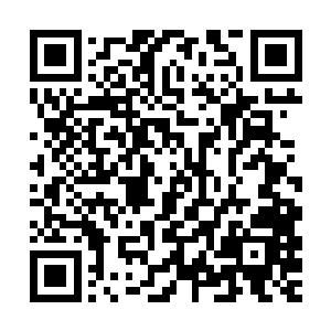 剧组协同发行方在圣塔莫尼卡商业广场举行了媒体和影迷见面会二维码生成