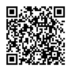 剧组遇到最大的悬念就是今天――珍妮因为个人行程安排二维码生成