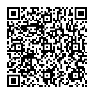 剩下十二人在付出了惨重的代价之后也终于是逃了出来而来到了秦宇现在所在的地方二维码生成