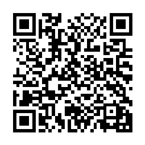 剩下的人鱼族和白曦族完全可以跟他们商量如何平分九原地盘二维码生成
